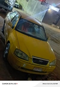 شيري فلوين • ميسان • بدون راعي