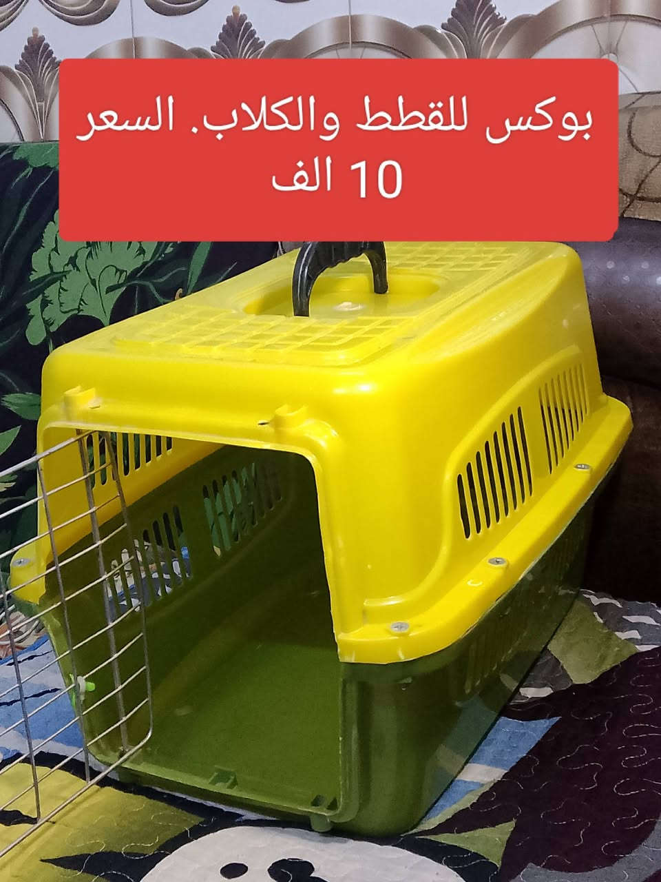 بغداد نهاية حي اور منطقة سبع. قصور توصيل لجميع المحافظات 5 الف


**إذا كنت صاحب هذا الإعلان وتريد حذفه لأي سبب، رجاءا أرسل رسالة إلى الدعم الفني**