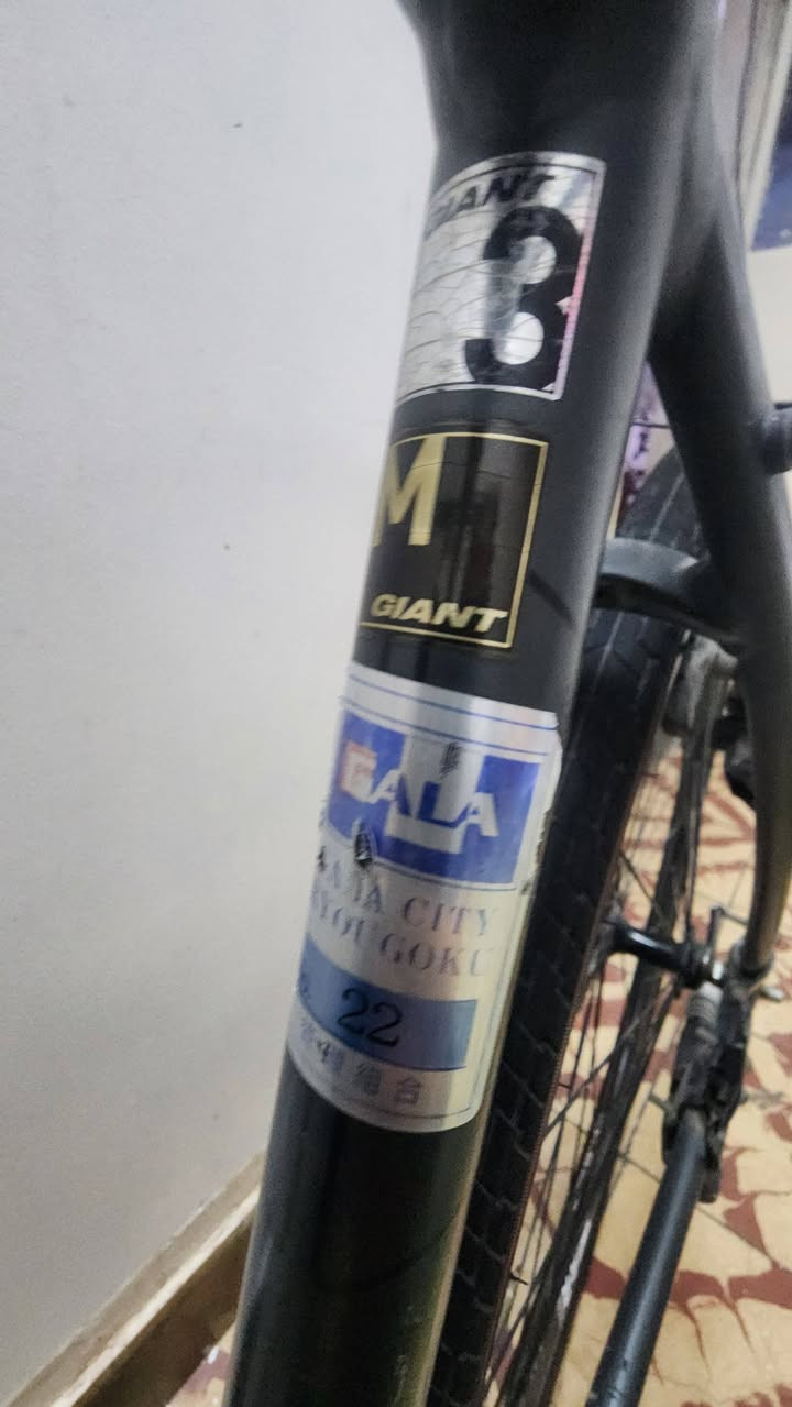 جاينت هجين
١٥٠ الف 
بغداد مدينه الصدر 
***********
