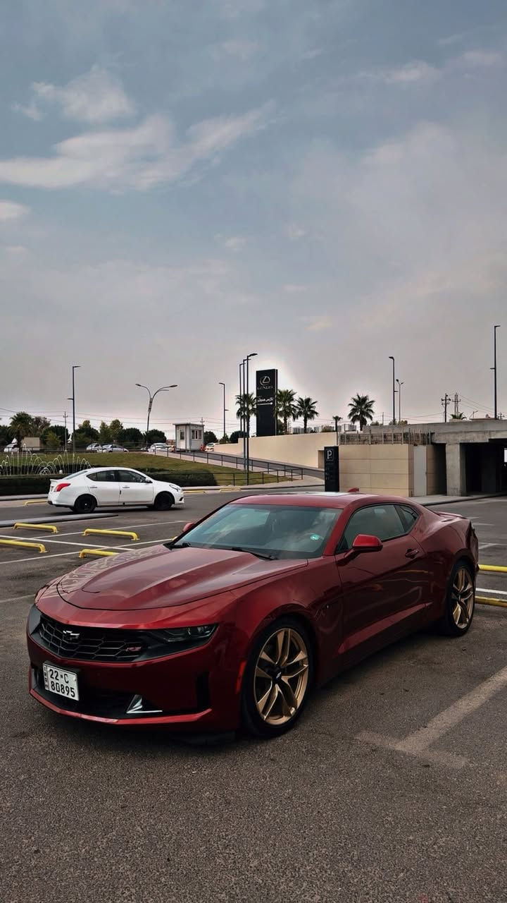 السلام عليكم ورحمة الله
للي يدور جمال + نظافة + قوة بين سيارات الـ V6، انته وصلت 😎

🚗 كمارو RS – 6 سلندر
🔹 موديل: 2021
🔹 اللون: أحمر دم الغزال (لون يخبل ومميز 🩸)
🔹 فتحة سقف + 3 مودات قيادة + كير 10 نمر 🚀
🔹 تشغيل بصمة + تشغيل عن بُعد 🔑
🔹 هاندبريك كهرباء – كاميرا دوّارة – كشنات كهرباء
🔹 شاشة CarPlay أصلية
🔹 إنارة داخلية تشتغل من التطبيق
🔹 ستيرن كاربون ملبس جلد تغليف شنايزر
🔹 باك لايتات سموك أصلية من أمريكا
🔹 برمجة قوة وسيفتي يم سيف تيتو

📍 المسافة: 29 ألف ميل فقط
📍 الرقم: أربيل باسمي وتحويل مباشر
⚙️ المحرك والكير بكفالة
💥 حادث خفيف: جاملغ خلفي + باب إيرباك بردة

💰 السعر: 197
(وبيه مجال بسيط بس للمشتري الجاد)

📍 الموقع: بغداد – شارع فلسطين
📞 ***********
