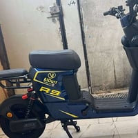 دراجة شحن R9 • ١٦ انبير • ابو الخصيب