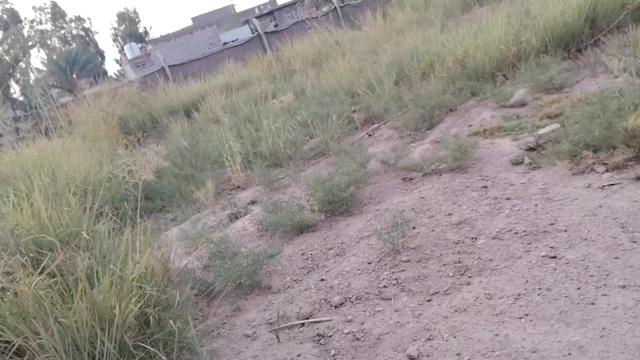 السلام عليكم قطعه أرض للبيع مساحه ٤٠٠ قطع البو مشتاق قريب حي ابو أسد ابي غرق مقابل مركز الشرطه للاستفسار اتصال على رقم ***********
