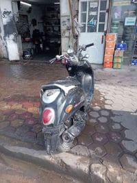 لبيع لو مراوس ماكس ثعلب  ٠٧٧٦٧٢٤٩٣٧١ متواجد واتساب