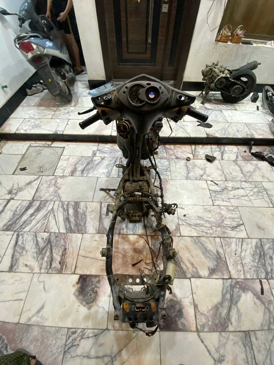 شاصي سكنس فحل ياباني وياضفيره وعقل وجويتر وكلشي كامل للبيع السعر ١٣٥ وبيها مجال للشراي ࢪقمي ***********
