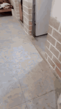 النجف الاشرف • ٢٠٠م • غرفتين