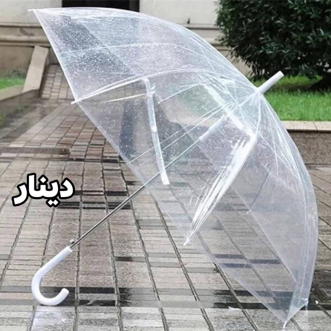 #الكيمة_محدوده_جداا⁉️سعرر3000 فقط

شمسيه مطريه شفافه☔️🌧️

نوعيه ممتازه جدا نايلون متين💯

متوفره بلون الشفاف الطيف الشتائي❄️
‏____________________________________________

للحجز والاستفسار يرجى مراسله الصفحه🤳
للحجز ع رقم وتساب 
7773332270📞
7716639035📞
يوجد توصيل
🚕 بسمايه الف
🚕 بغداد 5000
🚕وكل محافظات العراق 6000
يوجد دفع ماستر💰💰


**إذا كنت صاحب هذا الإعلان وتريد حذفه لأي سبب، رجاءا أرسل رسالة إلى الدعم الفني**