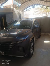 توسان • ٢٠٢٣ • وارد امريكي