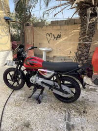 بوكسر • فحل • ٢٠٢٢