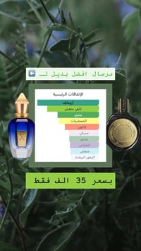 عيد فطر • بدائل عطور عالمية • أسعار مناسبة