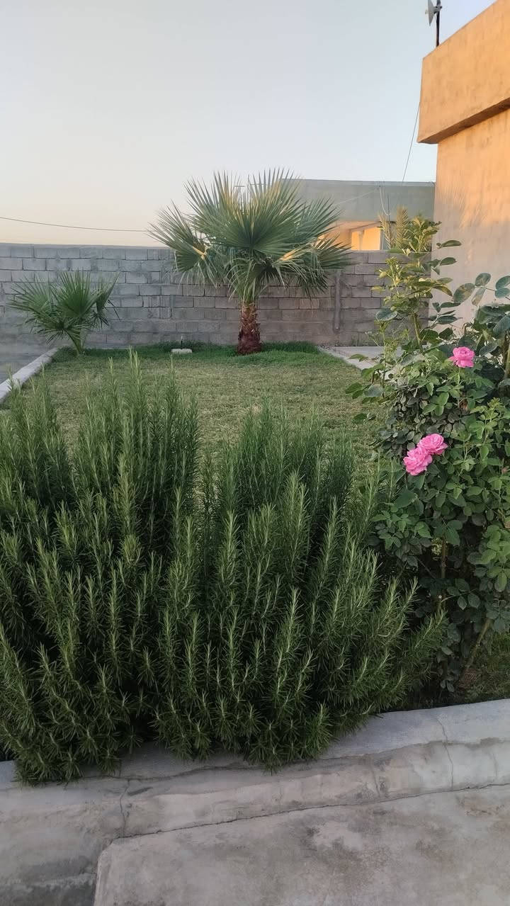السلام عليكم ورحمةالله تعالى وبركاته بسم الله والصلاة والسلام على رسول الله داري للبيع مساحة الحوش ثلث دونم يتكون البيت من ربعه سبعه في اربعه وغرفتين وحده خمسه في اربعه والاخرى اربعه في اربعه وهول اربعه في اربعه ومجمع الغرف والحمام والدرج مترين ونص في اربعه للأستفسار وللمعلومات اكثر التواصل معي على هذا الرقم ***********
