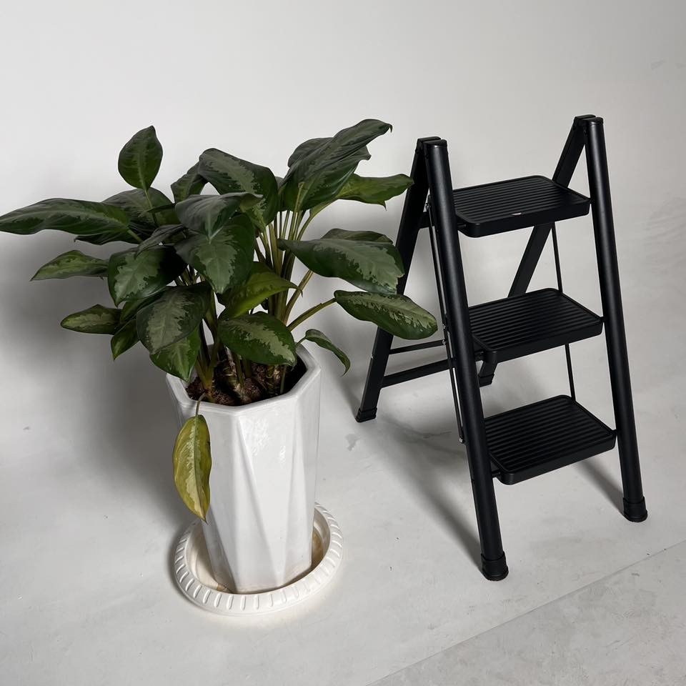 سلم يخدم اصحاب المحلات والمنزل   قابل للطي 3 درجات – Bihart

العلامة التجارية: Bihart
• عدد الدرجات: 3 درجات
• الهيكل: معدن مطلي 
للحجز او الأستفسار مراسلة الصفحة او على الواتساب ***********
