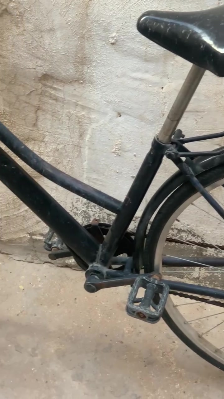 باسكل حجم ٢٧ مترووك سعر ٤٠ وبيه مجال قليل


**إذا كنت صاحب هذا الإعلان وتريد حذفه لأي سبب، رجاءا أرسل رسالة إلى الدعم الفني**