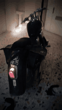 السلام عليكم 

هوندا ستد 400cc

كير محرك كفالة علة وضع اليابان شرط برغي ما مفتوح

كهربائيات بلادية و عليها دامة 
عقل رياضي فصلة🔥 باتري جديد 

كزوز رياضي صوت رعيدة 

مكاني واسط الصويرة *********** 

السعر🖤: مليون و بيها مجال حك الجية
