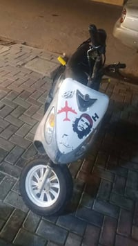 ماكس منغولي • مراوس • بكير