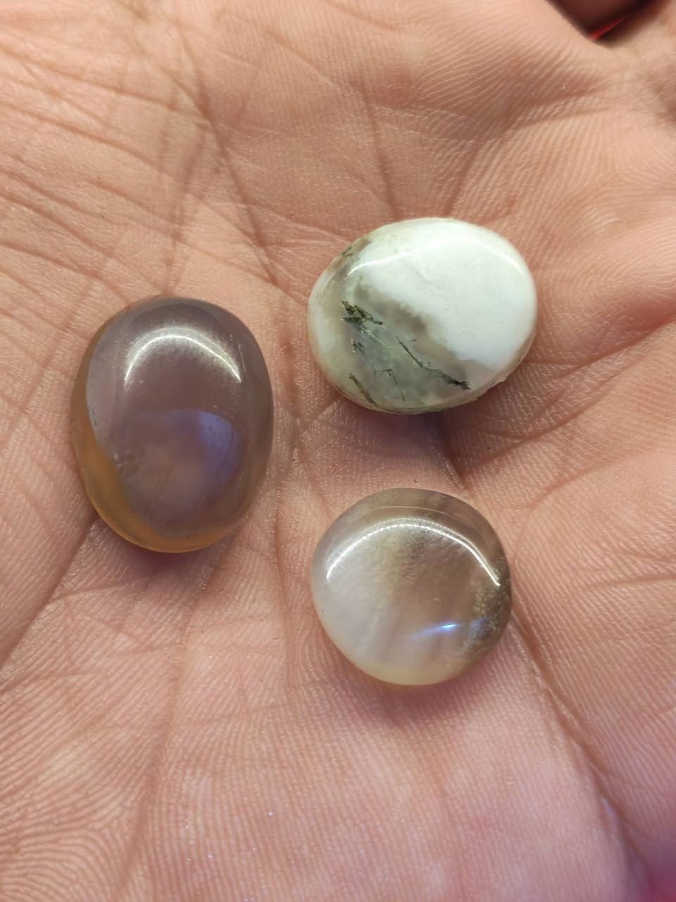 يوجد توصيل
احجار ذمة


**إذا كنت صاحب هذا الإعلان وتريد حذفه لأي سبب، رجاءا أرسل رسالة إلى الدعم الفني**