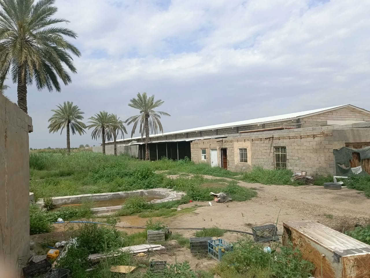 على بركة الله 

بستان دونم اللبيع تحويل موباشر 
الموقع مقبيل بستان استاذ مفيد 
بسعر مناسب لاستفسار اتصل على رقم 
***********

