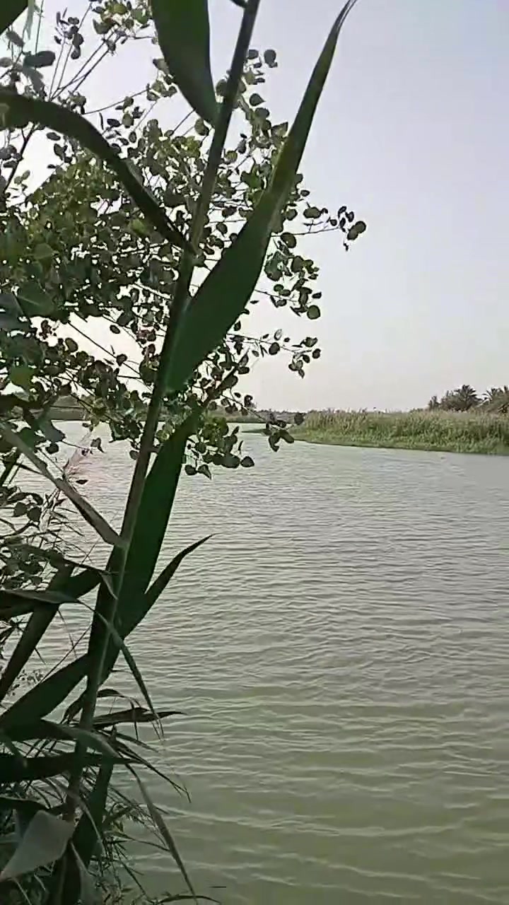 السلام عليكم اخوان دونم زراعي شاطي على شط الفرات خدمات كامله العنوان  البوعظم صوب الشاميه على طريق الاسكان الصناعي الاستفسار على الرقم او واتساب ***********
