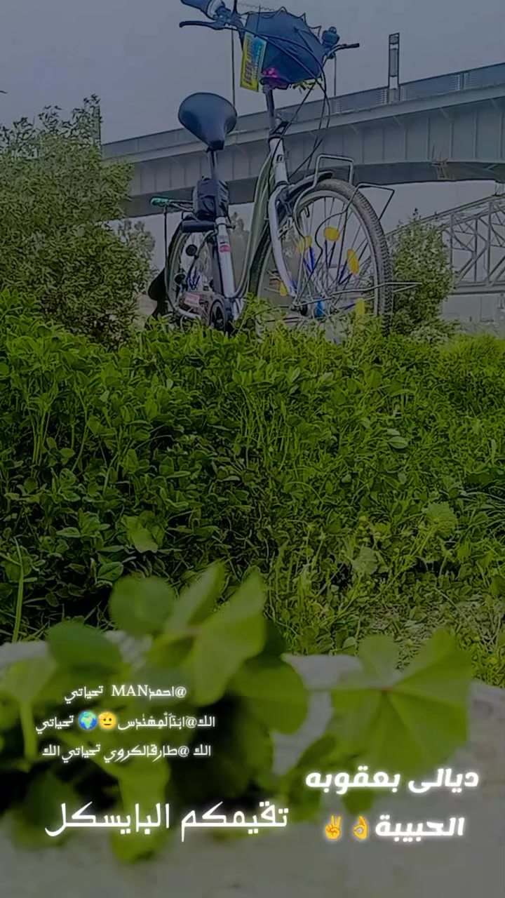 بايسكل البيع عانواني ديالى بعقوبه السعر 125بي مجال


**إذا كنت صاحب هذا الإعلان وتريد حذفه لأي سبب، رجاءا أرسل رسالة إلى الدعم الفني**