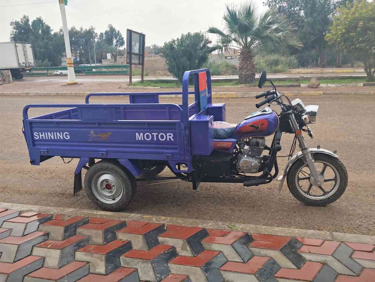 ستوته لبيع صالي ليوم رابع من طلعته من لوكيل وريد بيحه صار عدي ضرف حته لايتاته بعتهن بل كوارتين ما فاتحن ضامهن طلعته من لوكيل لبل عماره 3300 وريته 3100 وبيه مجال ***********
