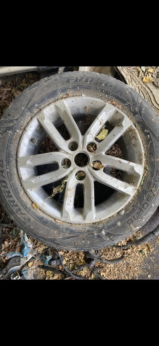 لسلام عليكم للبيع السعر 150 الف   اتصل على  ***********
