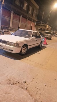 كرسته عظم • ١٩٩١ • حله