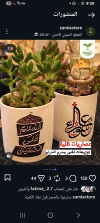 ديكور حديقة • أثاث خارجي • حديقة