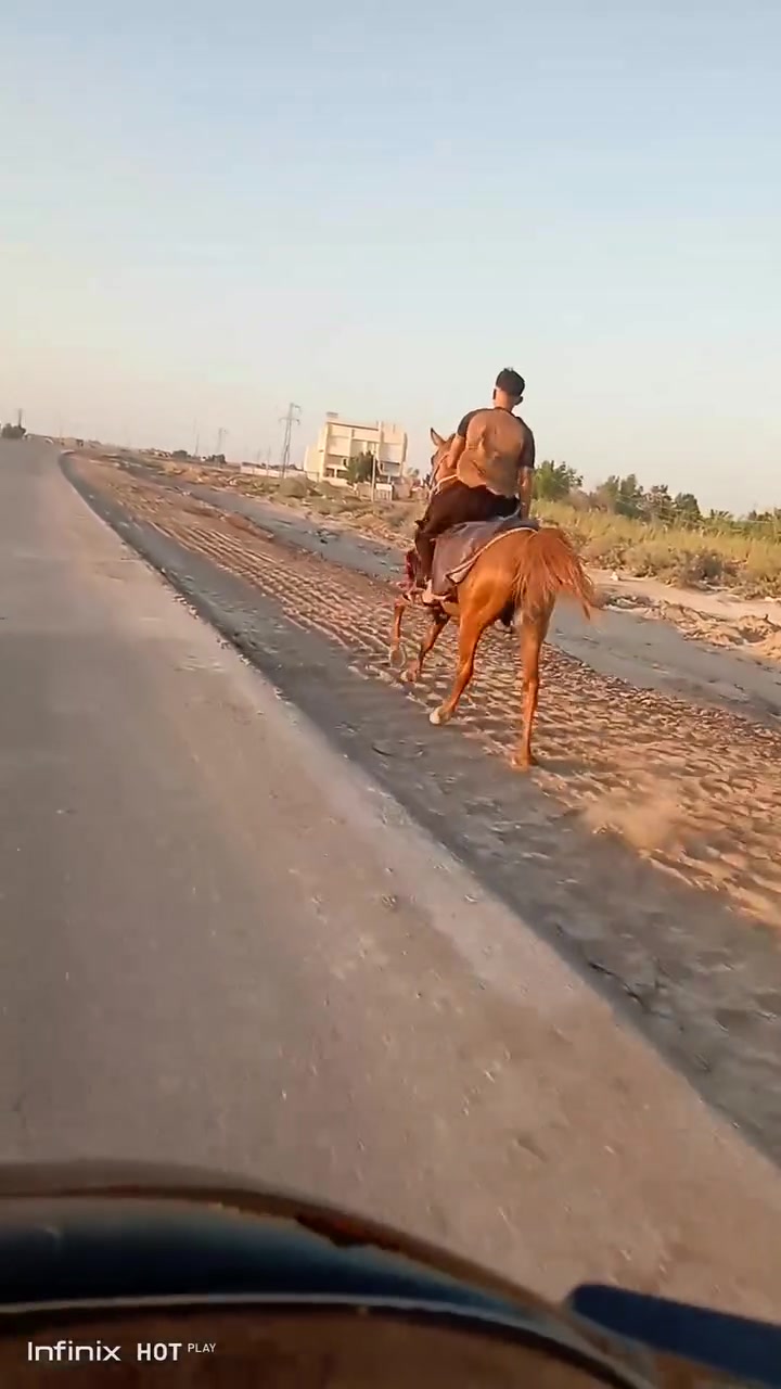 السَلٱمٌ عـَلـْيگمّ-ۈرحـْمّـٌة ٱللـّہ ﯙبُرگـّاتہ
اخون حصان درجه اول اشكر راس وشليل شرط الخياله والعب سالم م̷ـــِْن كل عيب لبيع يرهم مراوس بفرس


**إذا كنت صاحب هذا الإعلان وتريد حذفه لأي سبب، رجاءا أرسل رسالة إلى الدعم الفني**