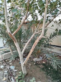 تنظيف الحدائق تنظيف السطوح من الاوساخ و الإنقاض واتساب 07847845459