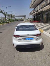 كورلا • ٢٠٢٥ • رقم بغداد