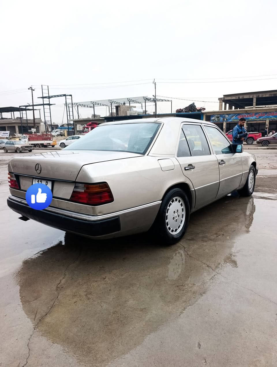 دب للبيع او مراوس
بلادية 
تفاصيل ***********
وتساب ***********
