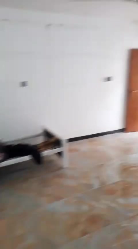 شقه للايجار سبع بكار شارع الوكيل حسوني متكونه من غرفه وصاله وخدمات الاستفسار
@***********
