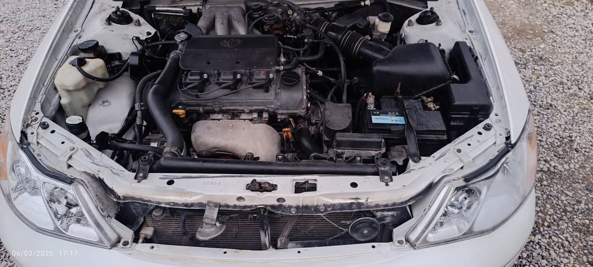 تیۆتا ئەڤەلون 2002 ناوزەرد مەینە 3000معسن گێر ستیل یەک پارچە بۆیاغ بێ ناو دەعم و لێدراوی نیە تایەی تازەی بۆ بەستراوە گێڕو مەکینە بەشەرت کارەبایی تەبرید گەرمی بێ کێشەیە جام کارەباییە قفڵ مەرکەزییە ABS نمونەیە لە جوانی و توندو تۆڵیسەنەوی بەسەر چووە سعر 88گەڵامعامەلە ***********====*********** رانية, السليمانية
