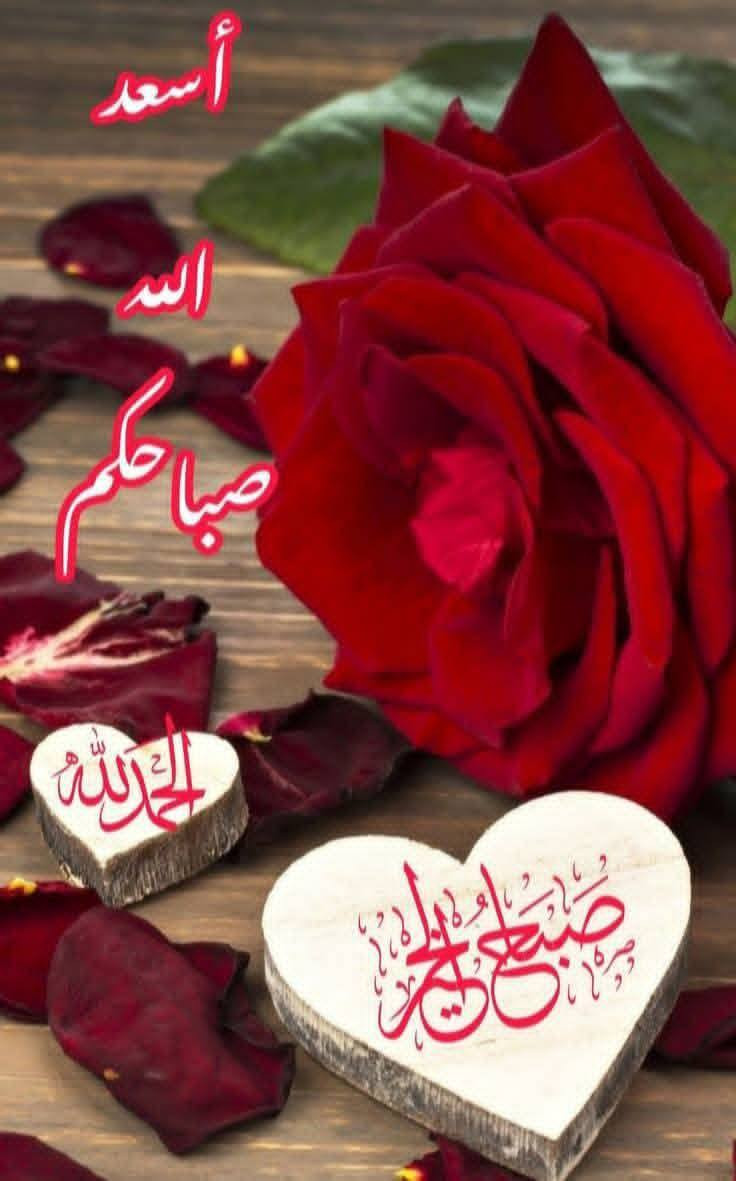 متوفر حسب الطلب وعندي خدمه توصيل اي استفسار خاص


**إذا كنت صاحب هذا الإعلان وتريد حذفه لأي سبب، رجاءا أرسل رسالة إلى الدعم الفني**