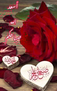 حسب الطلب • توصيل • ديكور منزلي