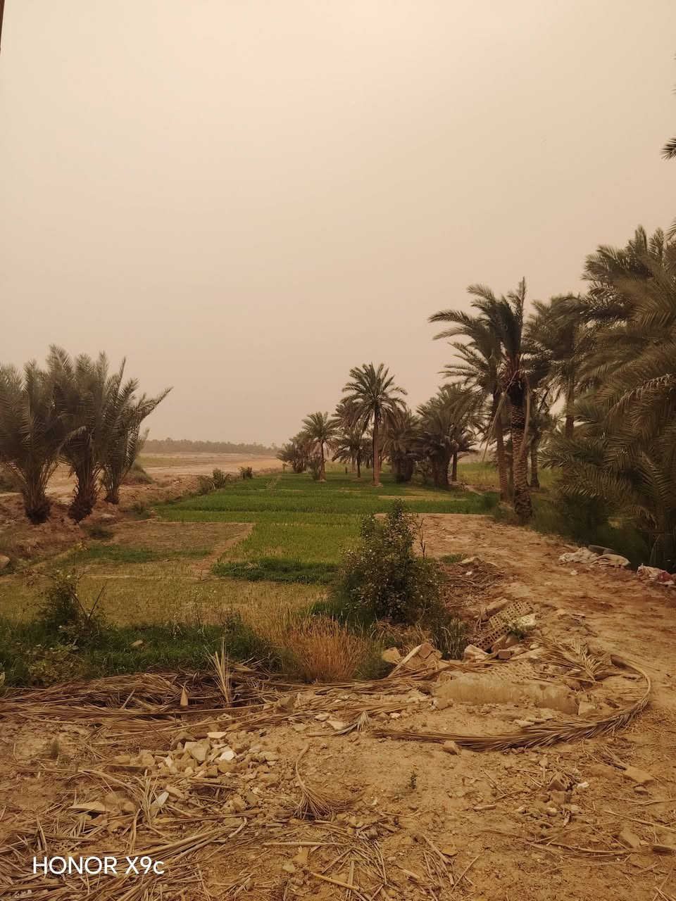 السلام عليكم
ارض زراعيه منطقة البركات على نهر الغازي تبعد عن الشارع العام 2 كيلو متر دونم ونص طابو زراعي سند ٢٥ والباقي ١٠ دونم عقد زراعي ماء اساله +كهرباء للاستفسار الاتصال على الأرقام  - *********** - *********** واتساب
