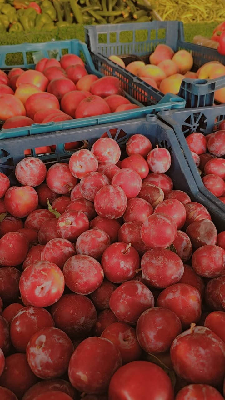 اسعار اليوم
عروض بلاش ومخضر تازه درجه اولى  وينه ليدور مسواك مرتب وتازه 
يوجد توصيل مخضر وبأسعار مناسبه 
للطلب واللاستفسار الاتصال اوتساب***********

تريدون مسواك تازه ونظيف بدون ما تتردد اطلب من علوه الطائي

قائمة الاسعار 🎬🎬🎬🎬   
 
ركــــي حــــكــه //2500////بطيخ 🍈عسلي  حكه3000/////

موز عرض درجه اولى  1750

طماطه عراقيه درجه اولئ …… .. 500

بطاطا عراقيه…… .🥔🥔 750
قرنابيط………… 1000
خيارشمالي درجه اولئ عرض....... . 750 
خيار عطروزي........ . 1000
شجر عراقي.......... . 750
لهانه……… .750
اسود شمالي درجه اولئ………  750
فلفل حار 
بصل اكرستال 🧅🧅…… 1000
بصل حلو 🧅🧅…… .750.

فلفل بارد صيفي درجه اولئ…… ..1000

بزليه   ………… .1500

جزر ……… ..1000

ليمون 🍋……… .3000

فاصوليه…… .2000

باميه.    ب…… ..2500

لوبيا.  ب…… ..2000

تمر علبه……… 2000

تمر جيس……   1000

ثوم ايراني… .. 3500

ثوم.صيني … .1000
الو احمر.… .2000
الو اصفر … 2000
مشمش مستورد… ..2500
الو عراقي……  1500
الو……  2000
عنب عراقي………  1500
خوخ كعكي……..  2500
خوخ مسكي……  2000
خوخ صوفي……… 2000
لالنكي……  1750
برتقال مصري عسلي …… ..1250

تفاح احمر 🍎……  1500

عرموط…… ..1500

تفاح عراقي ابيض……  1000

خل ابيض +اسود..  1000

خس….. 1000… 

سلك. الباكه ب… ..1000

سبيناغ  الباكه…… ..1250

بصل اخضر الباكه … ..1250

شبنت 500 /////فجل 500 ////بربينيه 500

خضره 10 ب الف 

الموقع ↘️↙️↙️↙️↙️

شقق زيونه مقابيل عمار 53

مقابل نبيل للهدايا 

كلشي مناسب ورخيص مسواك تازه ومناسب 🥒🫑🍅🥔🍆🍊🍓🍏

