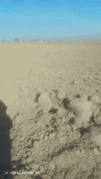 ارض زراعيه لليجار 12دونم  مضروبه فدان ومضروبه اليزار مي متوافرر بس نصب...