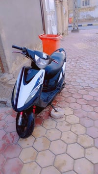 ماكس 49 • سلف هندر • مكاني كوت شراي