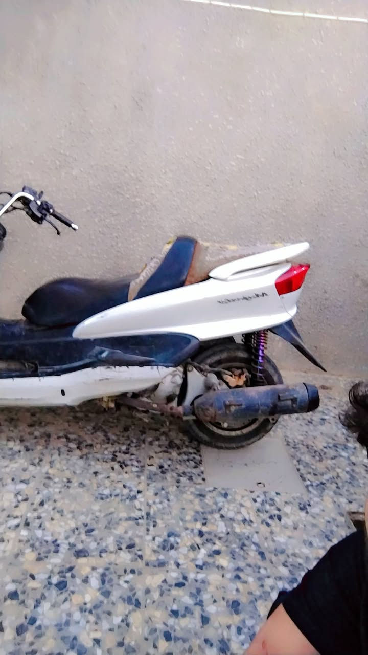 لسلام عليكم شباب هاي دراجة ماجستة محدث مواصفات الدراجة كفرات اصليه كهربايات كلهة شغاله هورن اشاير كيج بانزين كيج كيلو متر كيج رون كيج حماوة الساعه البدشبول كلهة شغاله المكينة مجفتة
.. نقصهة كلجات  وبنزات مكاني شهداء الثالثة الشراي يجيني واتساب السعر /450بيهة مجال بصيط /***********
