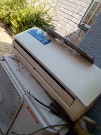 سبلت • ١ طن • كوفه