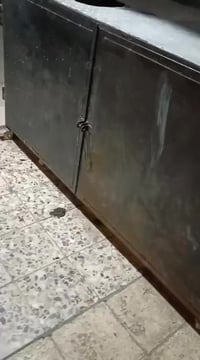 عربانه للبيع للاستفسار على الرقم 07801946199