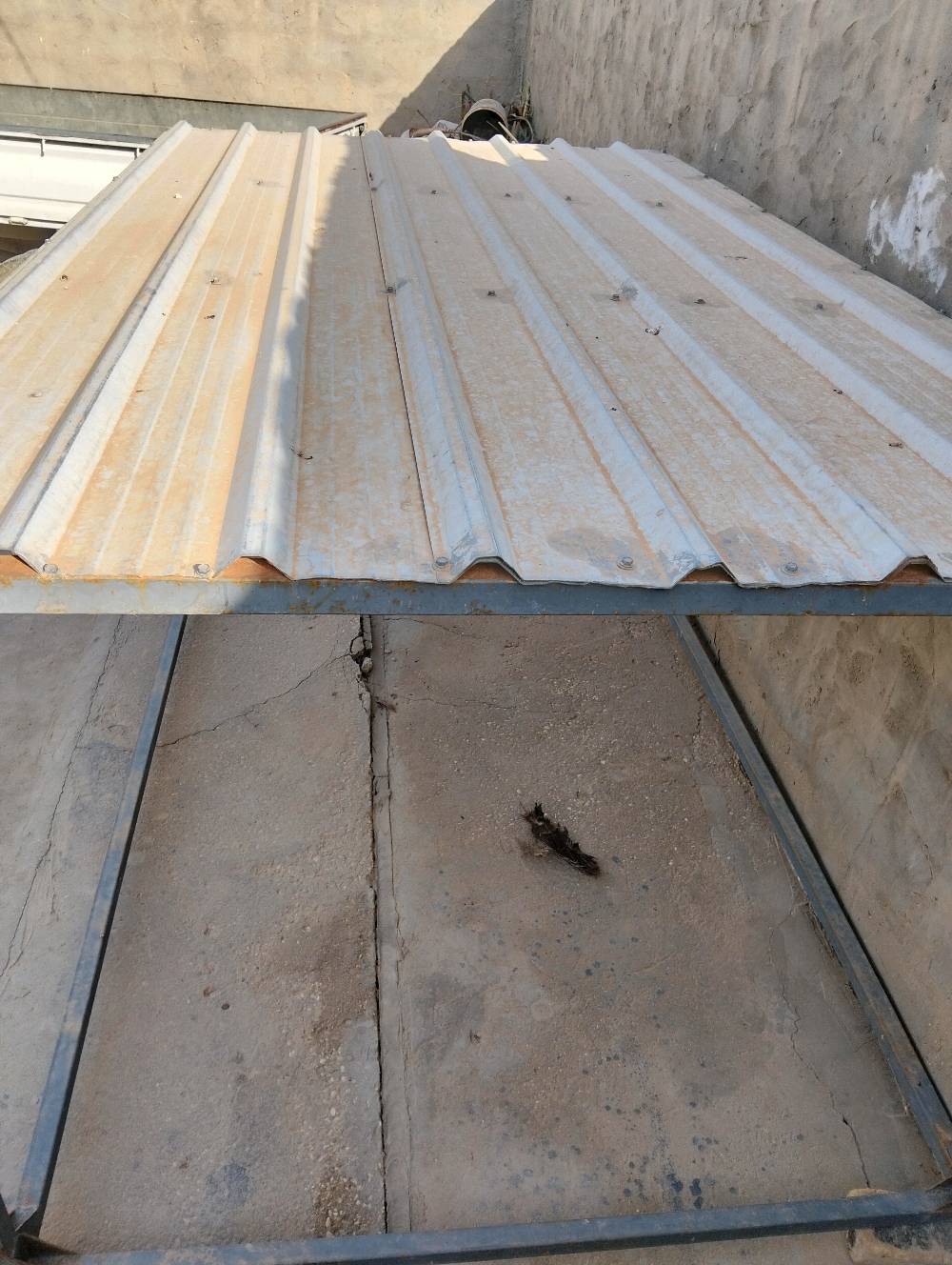سقيفة كيا للبيع تفيد أصحاب المخضر وحاجة بألف وغيرها سعر 150 للاستفسار رقم الجوال***********