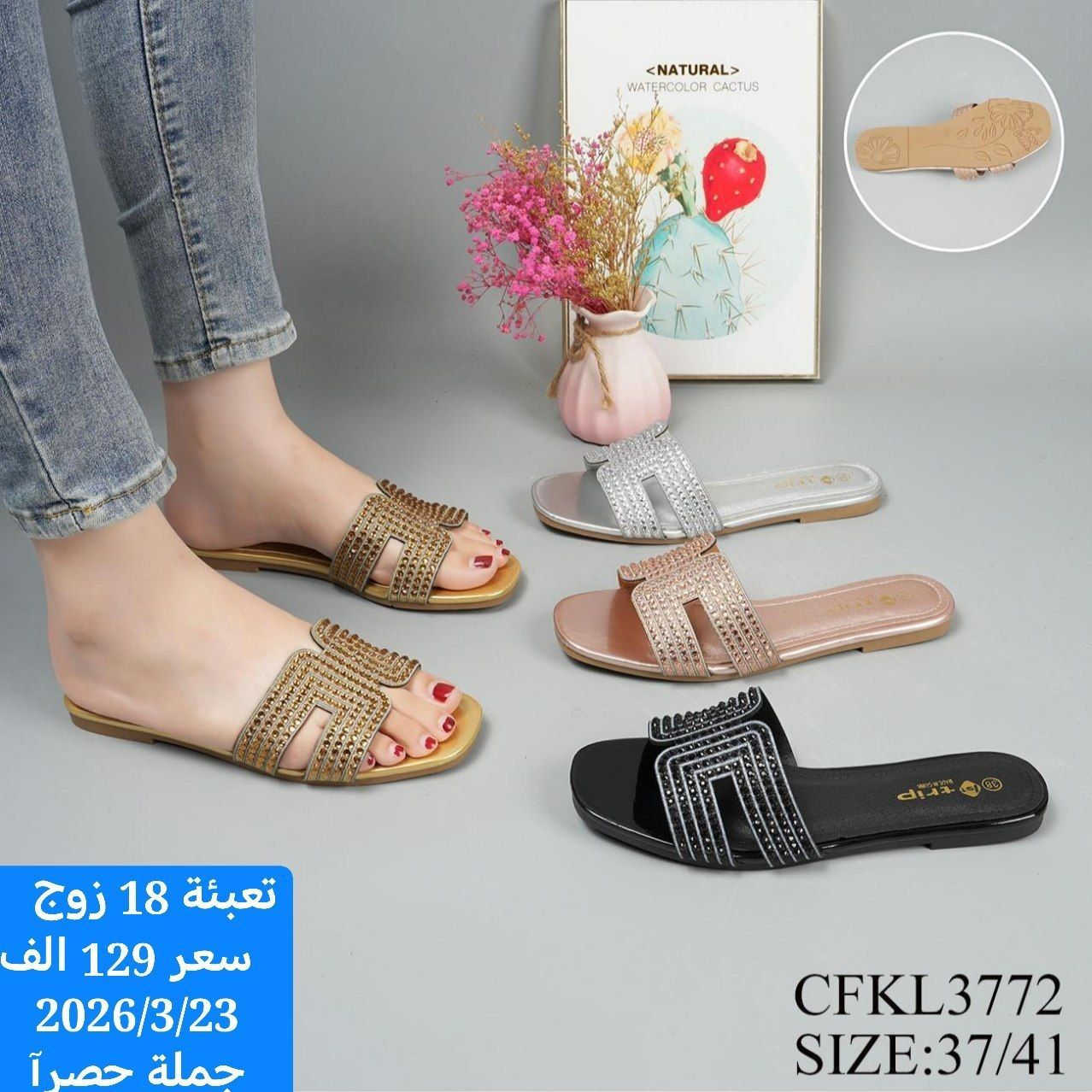 جملة فقط كراتيين درازن 
خدمة توصيل بغداد5محافضات 6 فقط 

للحجز وتساب ***********

ماسنجر
