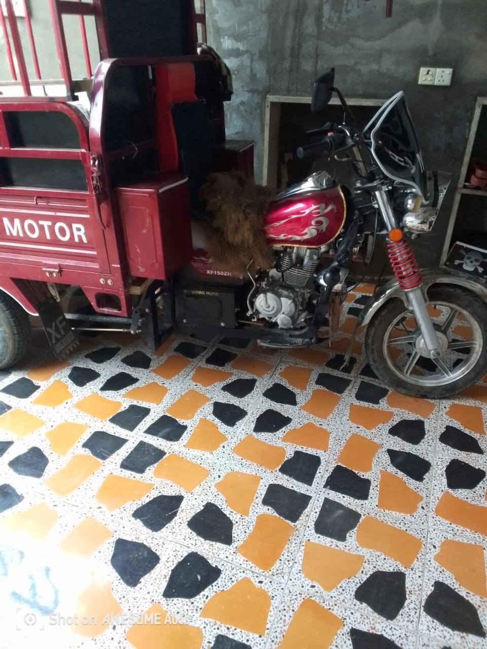 ستوته مديل ٢٠٢٠ كلها شرط منفيس اصلي سعر 9ونص ***********
