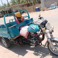 ستوته دولفين • موديل 22 • أوراق اصوليه