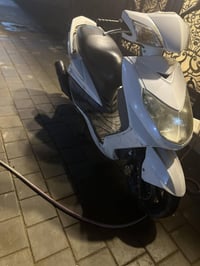 سكنس فحل • بدون نقص • ماخذها شهرين