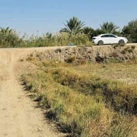 الزبيدية بيت عابد • ٥٦٠م • سند ٢٥