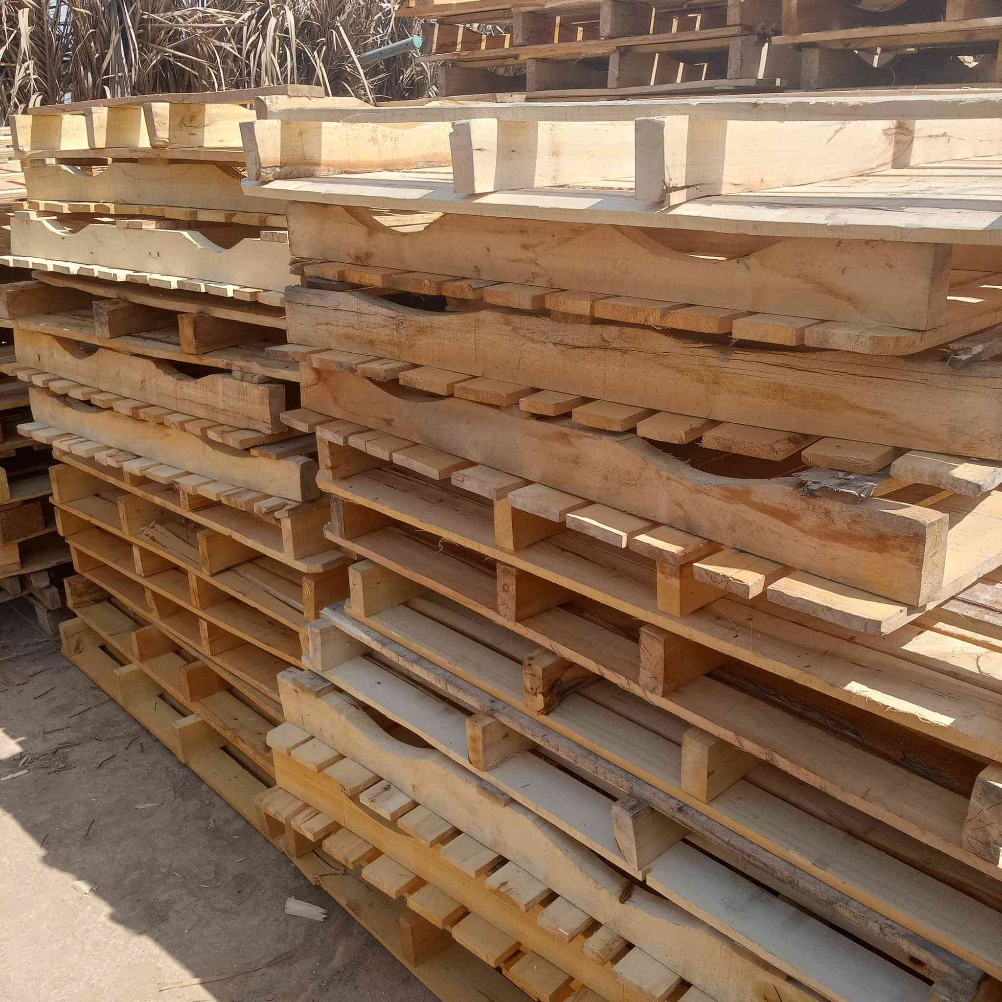 سلام عليكم سكيبات للبيع والتفاصيل بلتعليق


**إذا كنت صاحب هذا الإعلان وتريد حذفه لأي سبب، رجاءا أرسل رسالة إلى الدعم الفني**