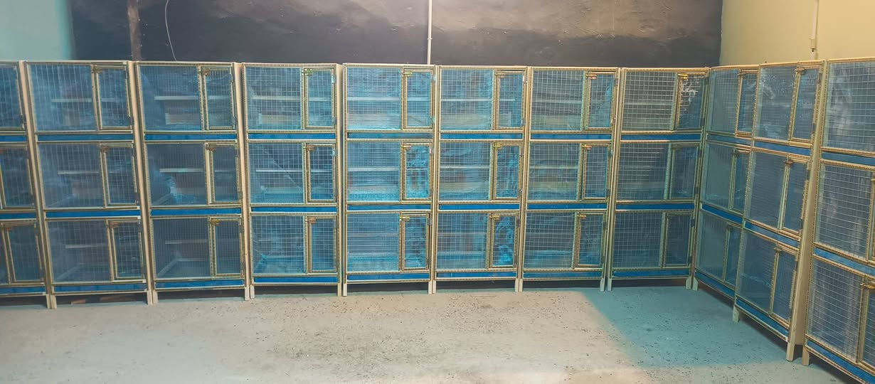 سلام عليكم خانانت حمام ام الجرار مكان بغداد الحبيبية ب ٦٠الف ***********
