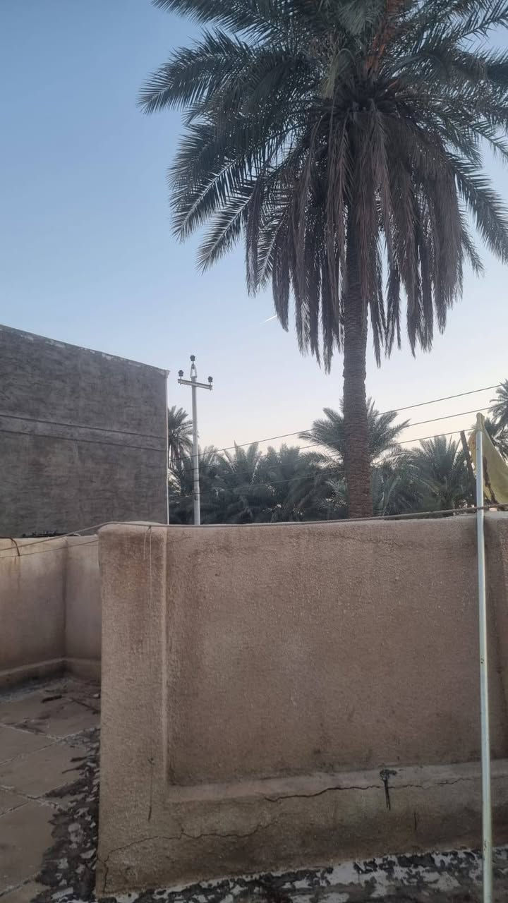 السلام عليكم
بيت ١٣٠م ركن للايجار
نزال جامع الصادق الامين قرب فدك
شارع عريض قريب ع الشارع الرئيسي
للاستفسار واتس***********
